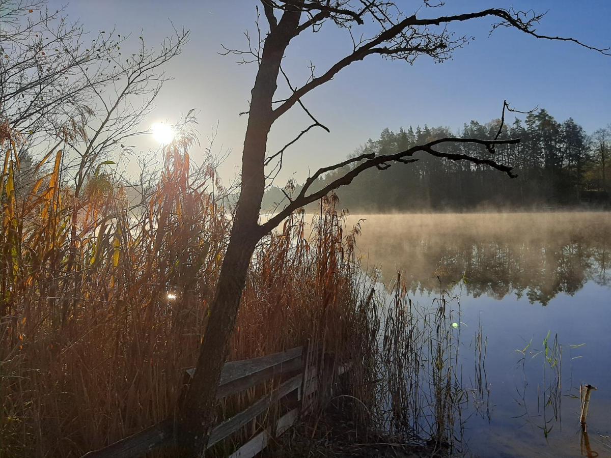 Apartmán Olszynowy Zakatek -Mala Magia Augustów Exteriér fotografie